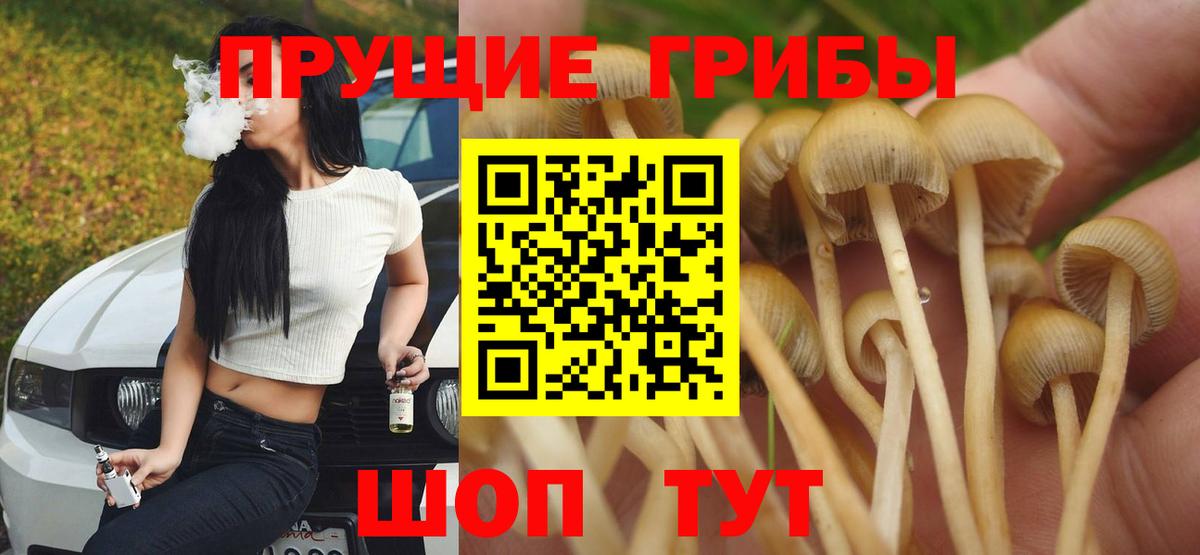 Псилоцибиновые грибы мицелий Красноперекопск